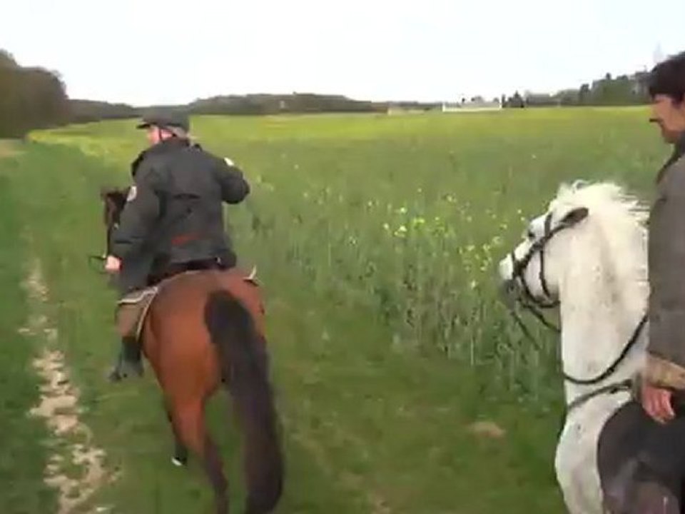 Elle a dit qu'elle était parfaite!