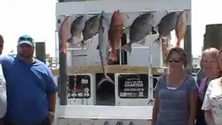 Destin Fishing Action- Sailfish