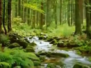 SUR LES PAS DE NOTRE BIEN-AIME PROPHETE MOHAMMAD(1)