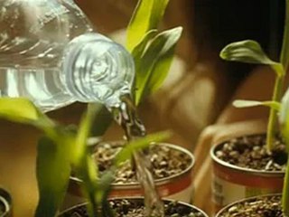 castaway.yosei.cd2-yeppudaa