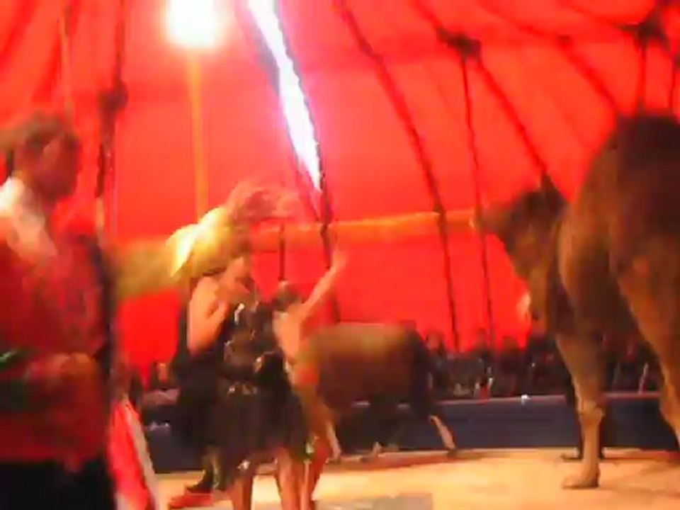 CIRQUE12
