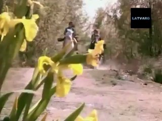 Alma Pirata Captulo 116 (Completo)