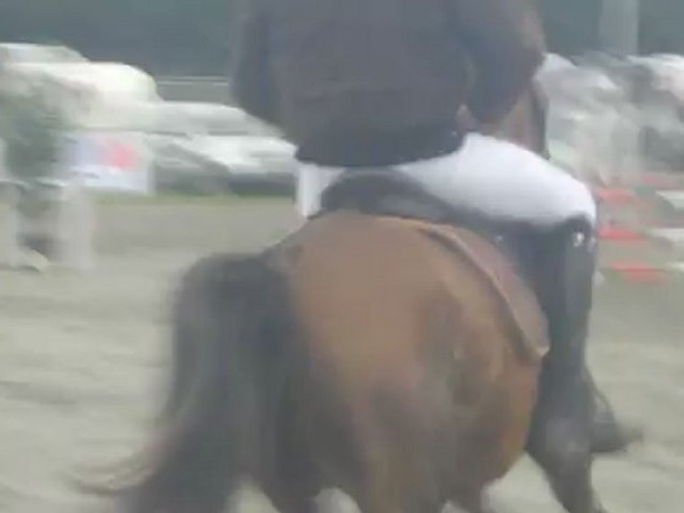 Alan et Paypyte D'or Macha, club 2 (8pts)