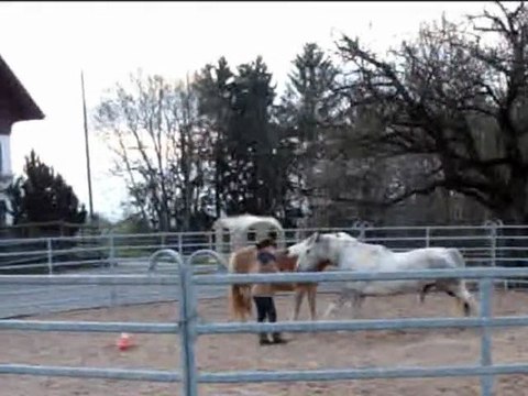 Safran et Baïla en mode: cirque