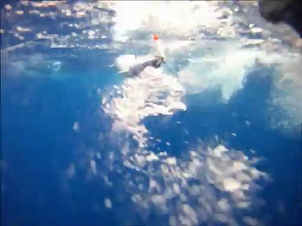 Wahoo Fishing aboard Bite Me