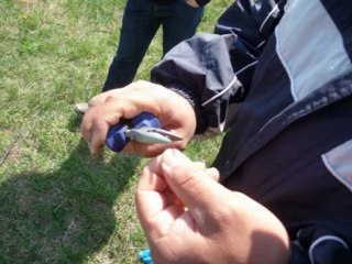 Formation_Agrément microfusée