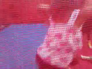 Festa escola da maria parte 3