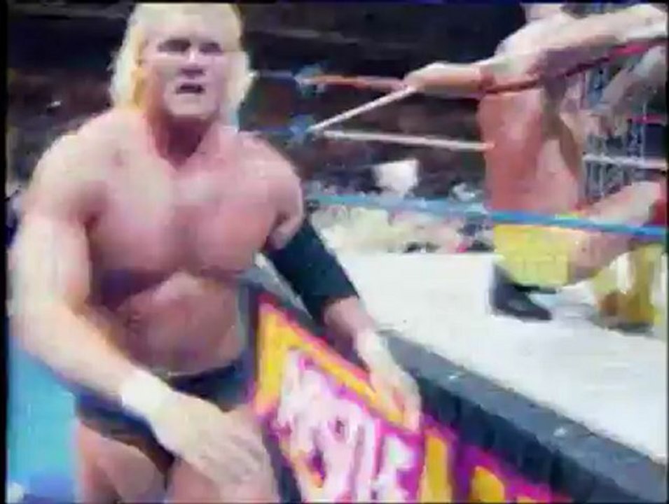 WWE-Universal.Fr - Hulk Hogan VS Sid Justice Part 2 (WrestleMania VIII)