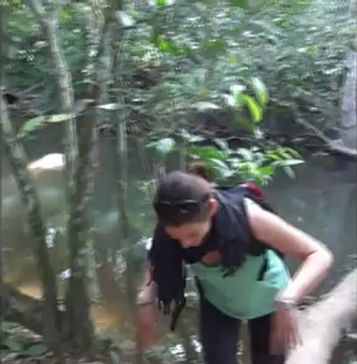 Traversée du grand fleuve