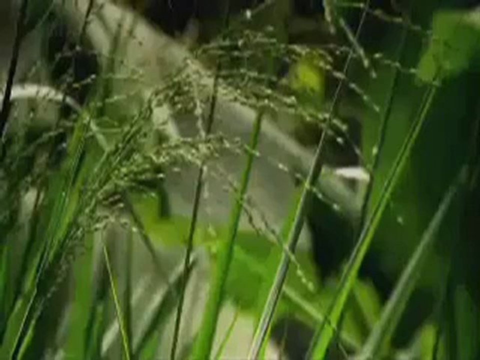 Ustayım diyen şoför izlesin