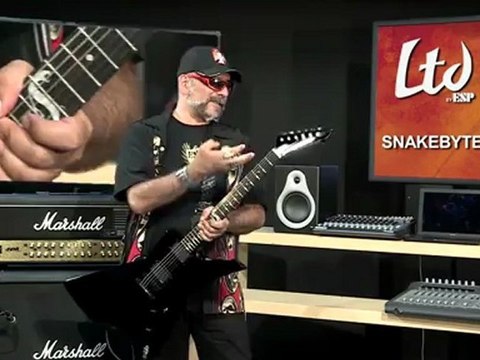 Judge Fredd & the LTD Snakebyte James Hetfield Signature