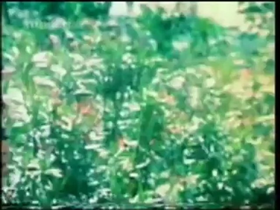Roobini Hot Song 03