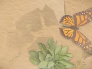 Top Deal Review - The Boxee Box by D-Link HD Streaming ...