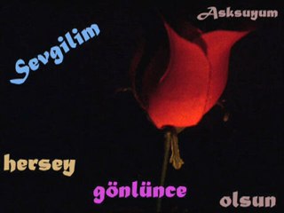 Müslim GÜRSES  -  HERŞEY GÖNLÜNCE OLSUN