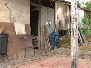 Illegale Minenarbeiter riskieren in Malaysia ihr Leben