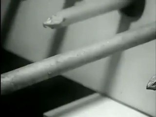 Snap - Paduraru - Exterminate DJ River MashUp [HD 480p]