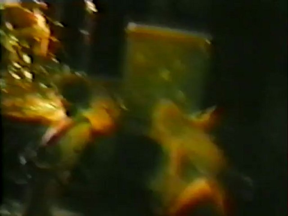 NIG-HEIST- Live 1984