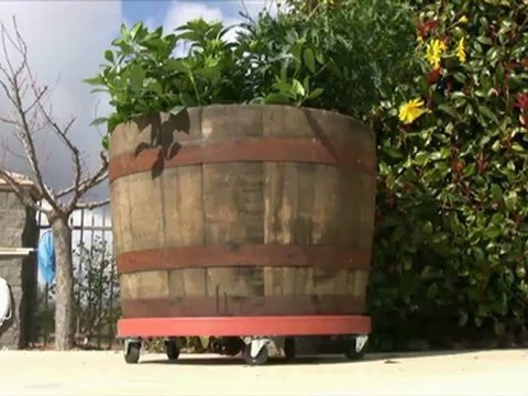 The Heavy Duty Plant Caddy - Plant Caddies are a Lifesaver!