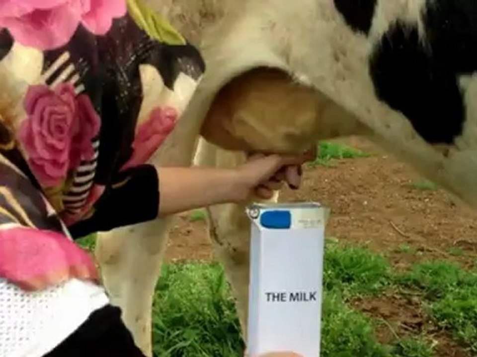 Cannes Young Lions "Hakan Şimşek / Sibel Ergeç"