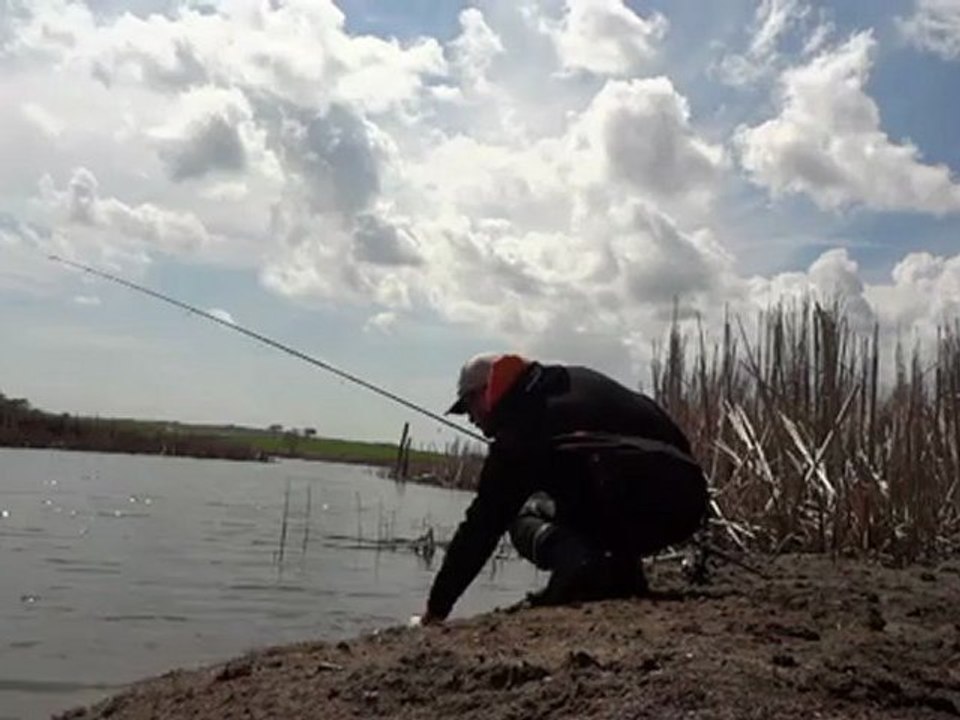 turna avı