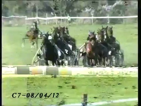 Samba Dorée Carpentras 2012