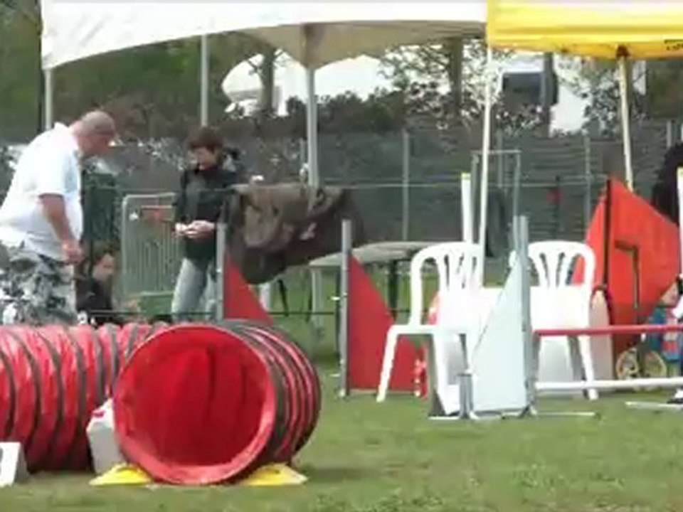 Rottweiler - Balzac 1er concours d'agility (Arnas)