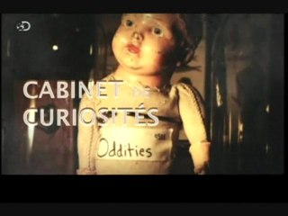 Cabinets de curiosités (Poulet à quatre pattes)