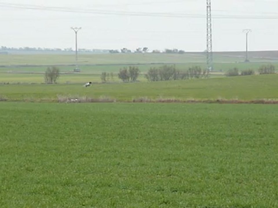 Dune de Nive Adour 1ère partie du parcours le 13.01.2012