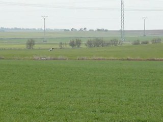 Dune de Nive Adour 1ère partie du parcours le 13.01.2012