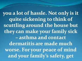 German Cockroaches – Waiting for you at home?