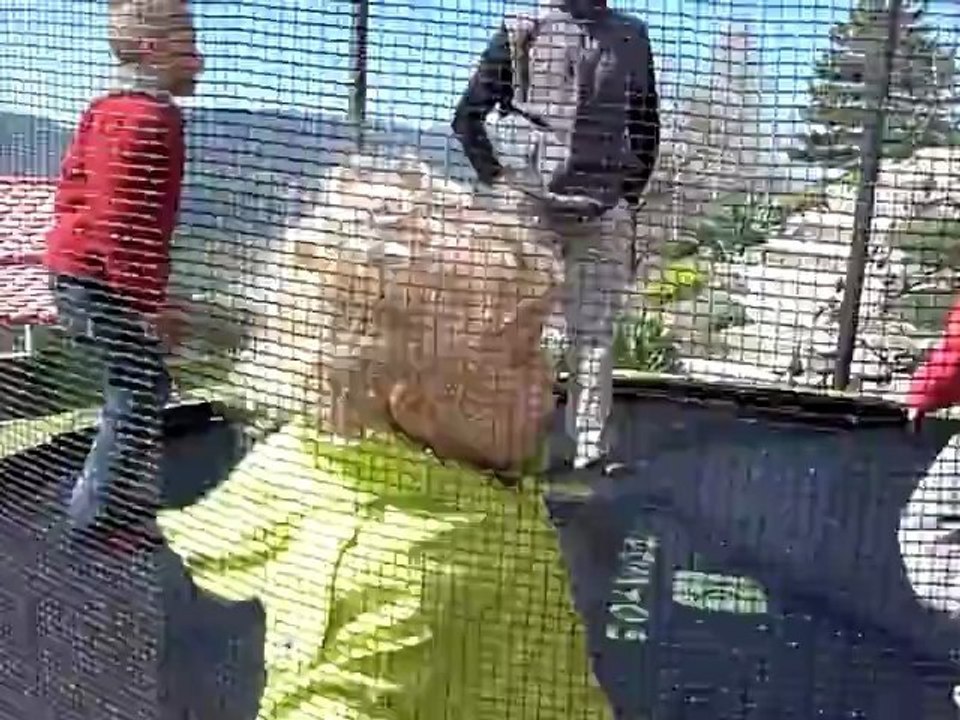 dans le trampoline...