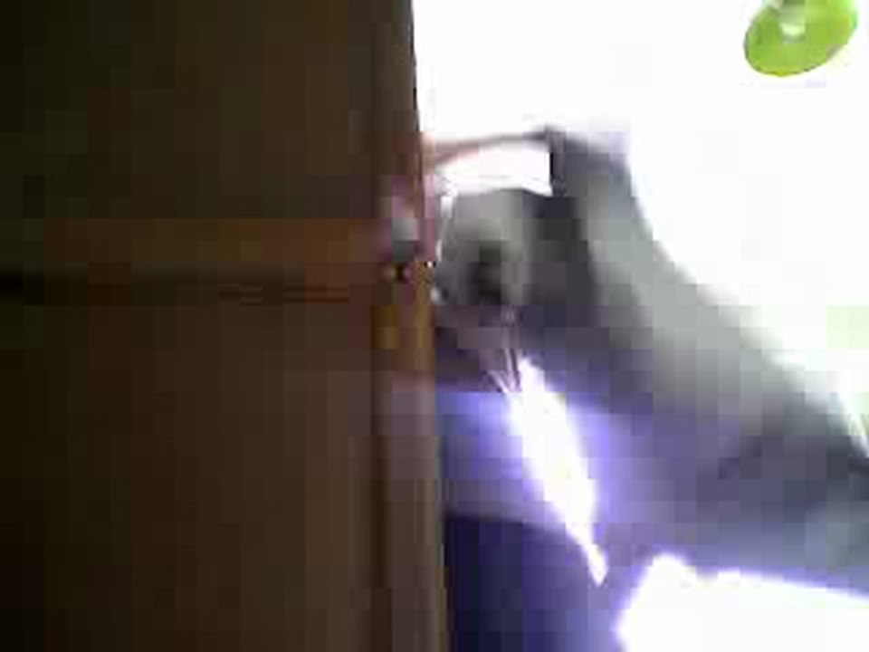 webcam_1333980584436