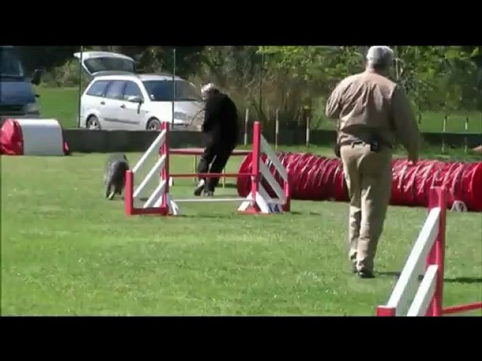 Buck Agility Miramas 08/04/12