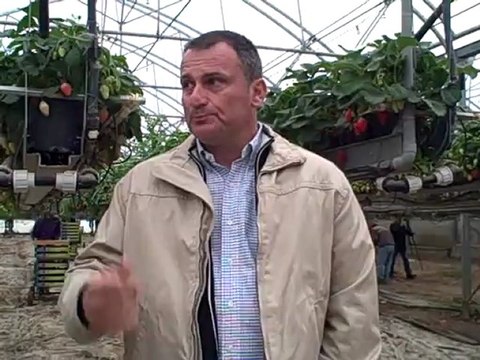 Interview de Xavier Mas, président de l’AOPn Fraise (c) Papilles & Pupilles