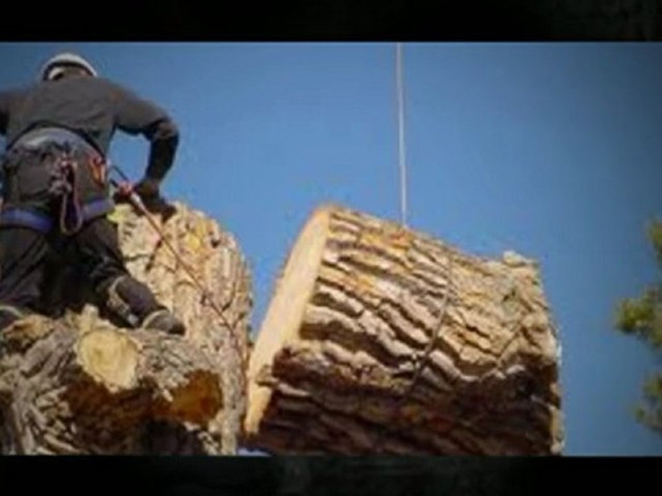 Tree Innovations Inc. - (845) 291-7172
