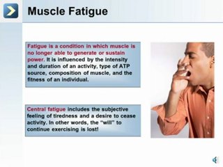 The Muscular System - The Mechanics of Muscular Contraction