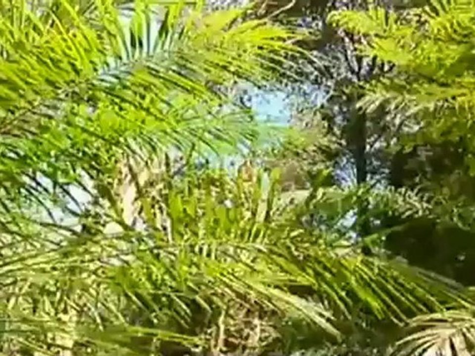 รายการ เปิดปม วันที่ 9 เมษายน 2555-ล้างอิทธิพลมืด