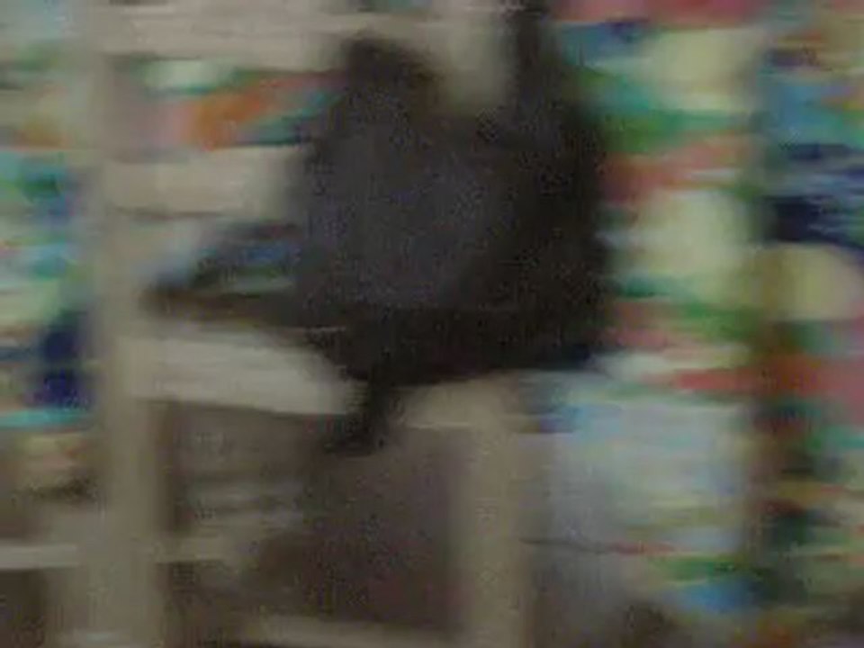 Photos chiens a classer 060