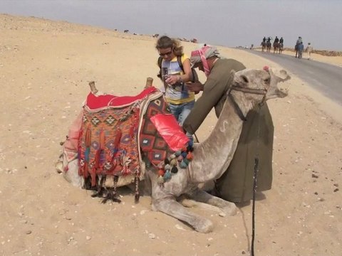 Les pyramides du Caire