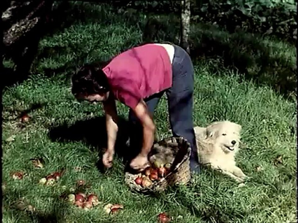 sidra_bera_pio baroja_1970