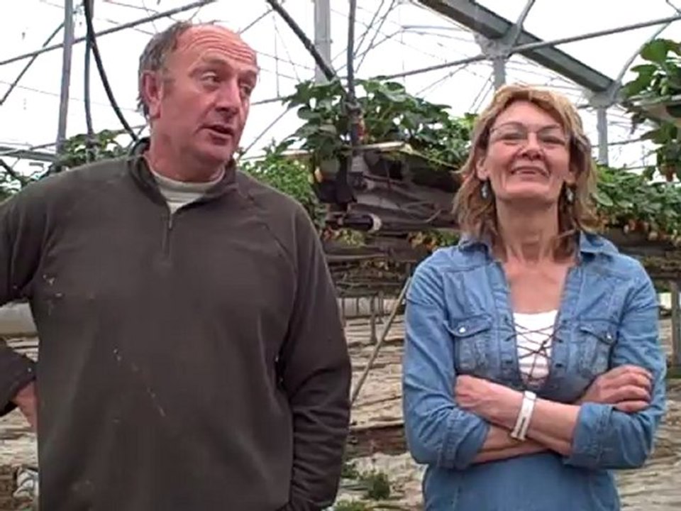 Qu'est ce que la lutte intégrée dans la culture de la fraise ?