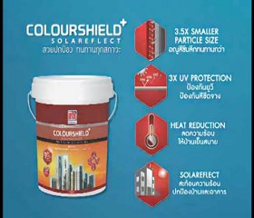 Presentation - Nippon Paint