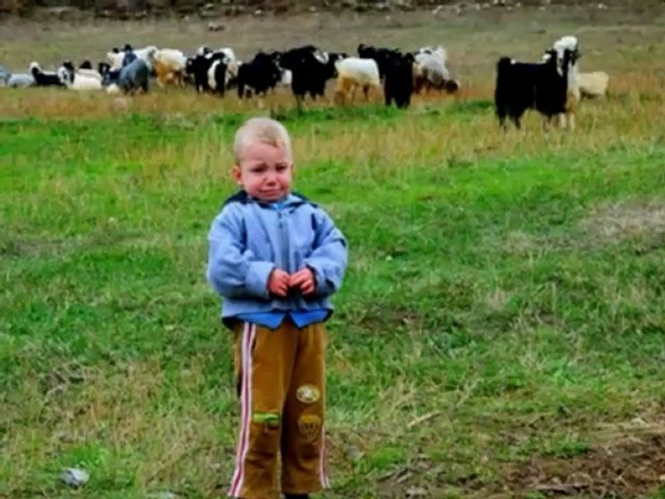 Aysun Gültekin - Bala Sarhoş