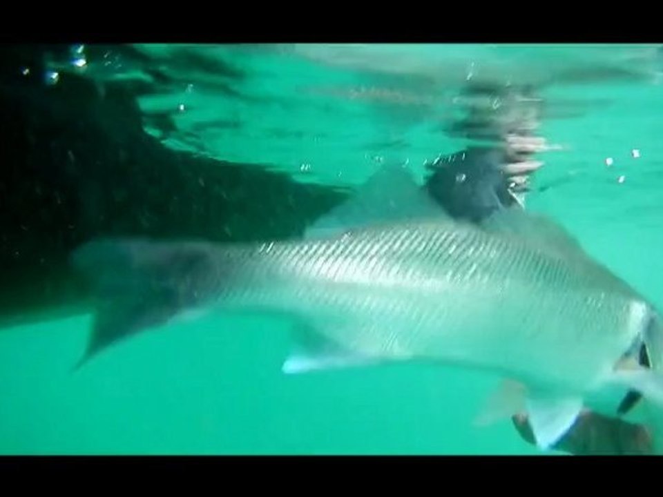 Too Aïe Fishing - Le 7 Avril 2012 en mode prospection ...