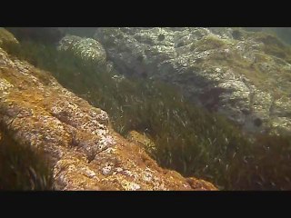 lundi de paques sous l'eau