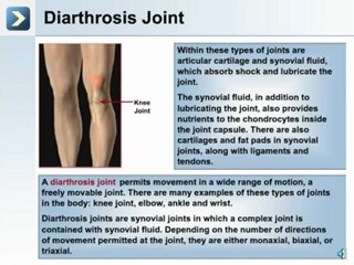 The Skeletal System 2 - Classification of Joints