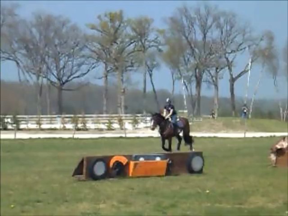 cross2 Topollino des iris