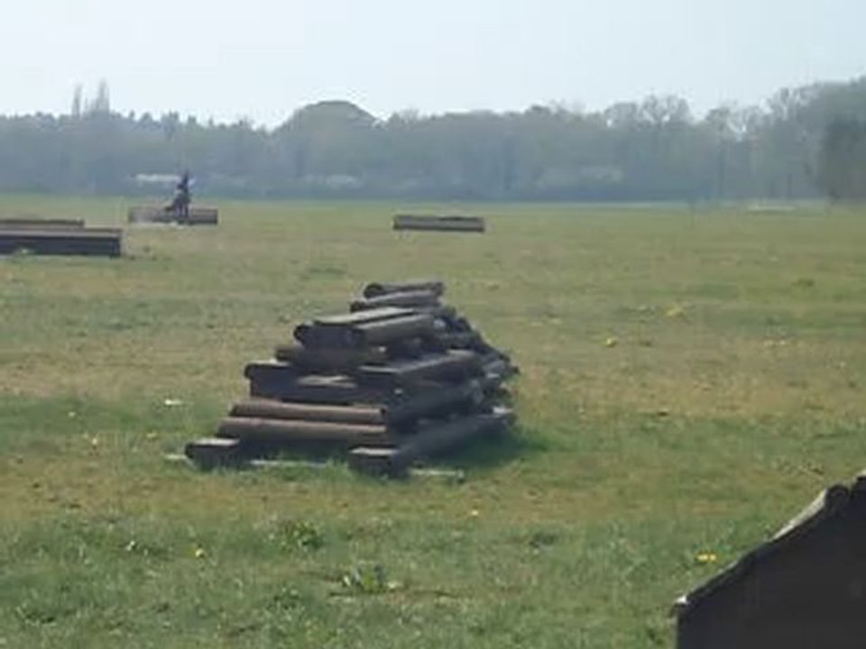 cross5 Topollino des iris