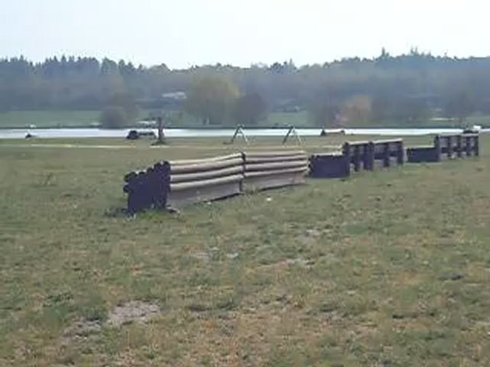 cross6 Topollino des iris