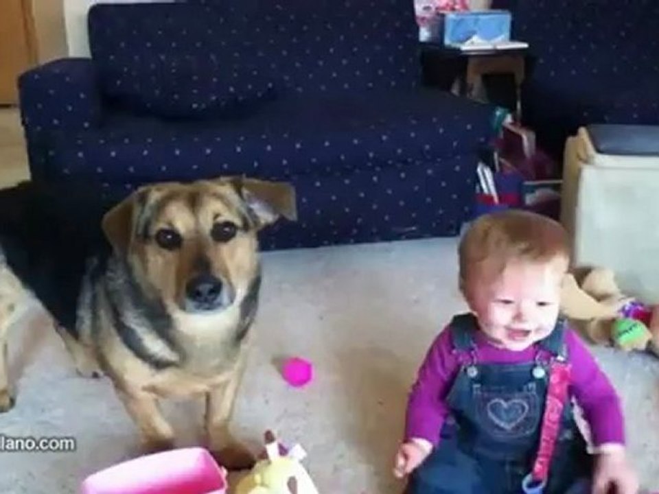 Bébé rieur et chien bulles